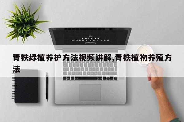 青铁绿植养护方法视频讲解,青铁植物养殖方法